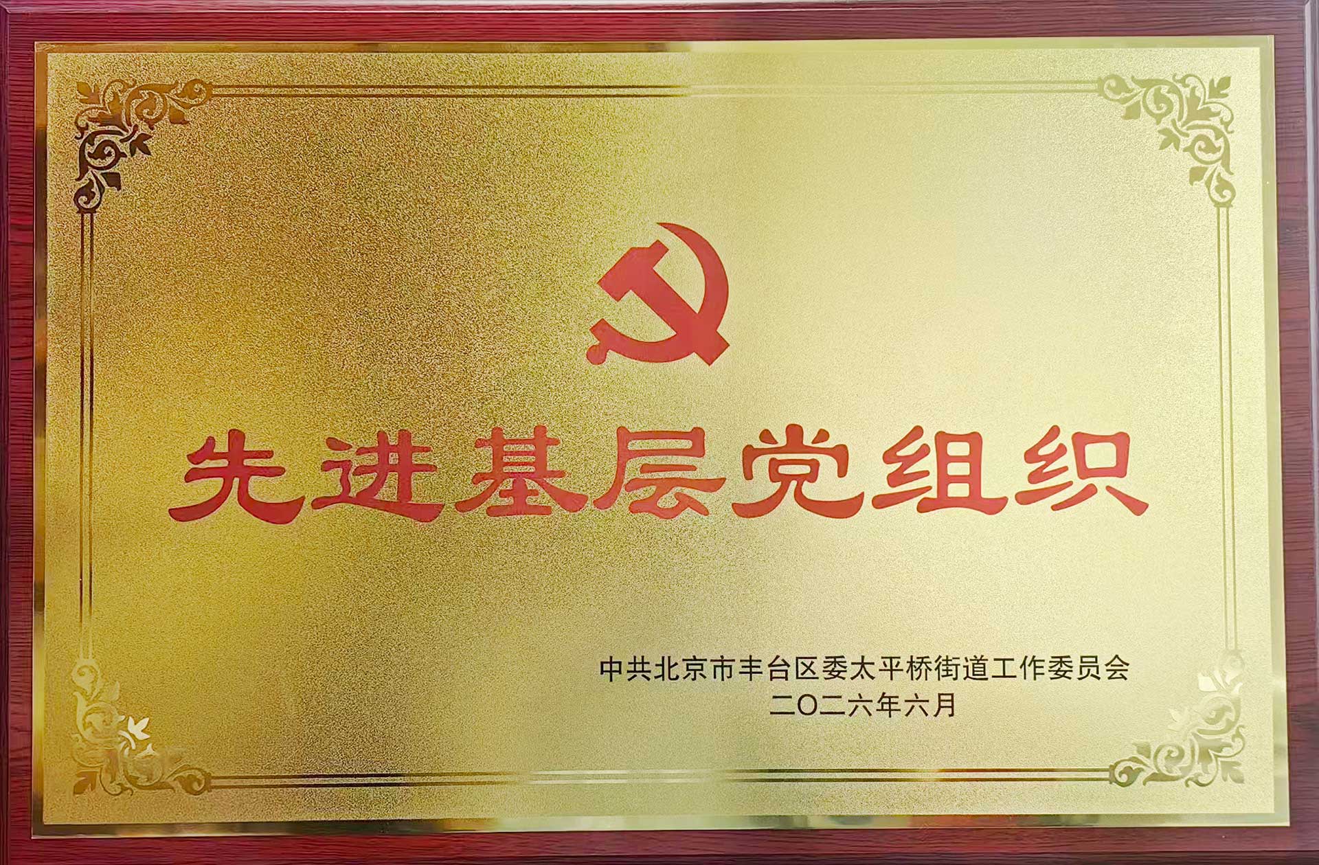 喜报｜党建引领践初心 载誉前行庆华诞——云开电子-云开电子（中国）招标集团党支部获评辖区“优秀基层党组织”